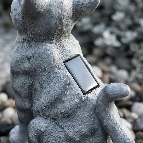 Avantage Le Compagnon d'Ambre — lumière chaleureuse