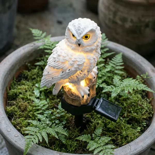 Avantage de l'Ombre Veilleuse — lumière sculpturale